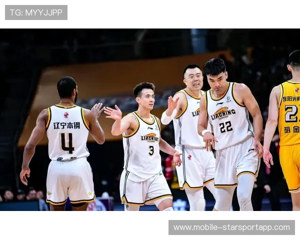 辽宁队：逆境拼搏，冲刺季后赛！，辽宁队的比赛