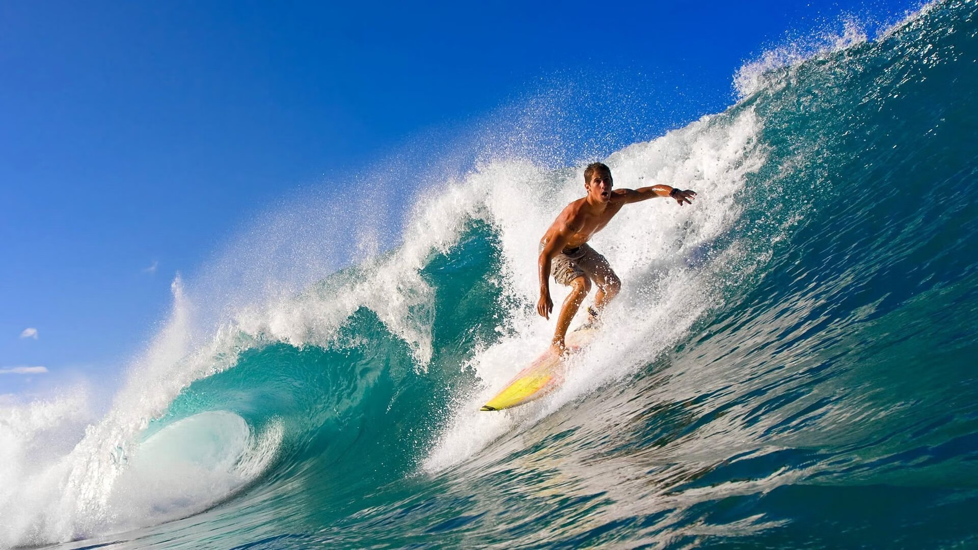 星空娱乐棋牌-上赛场的清晨，为青春发令！高校接力登上F1赛道，点燃上海青春引擎